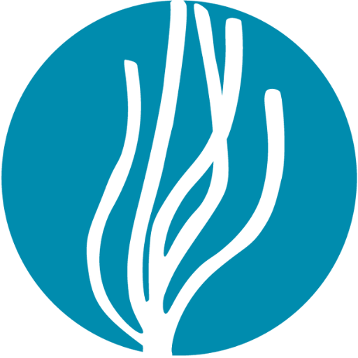 Logo Mediterrània Creativa